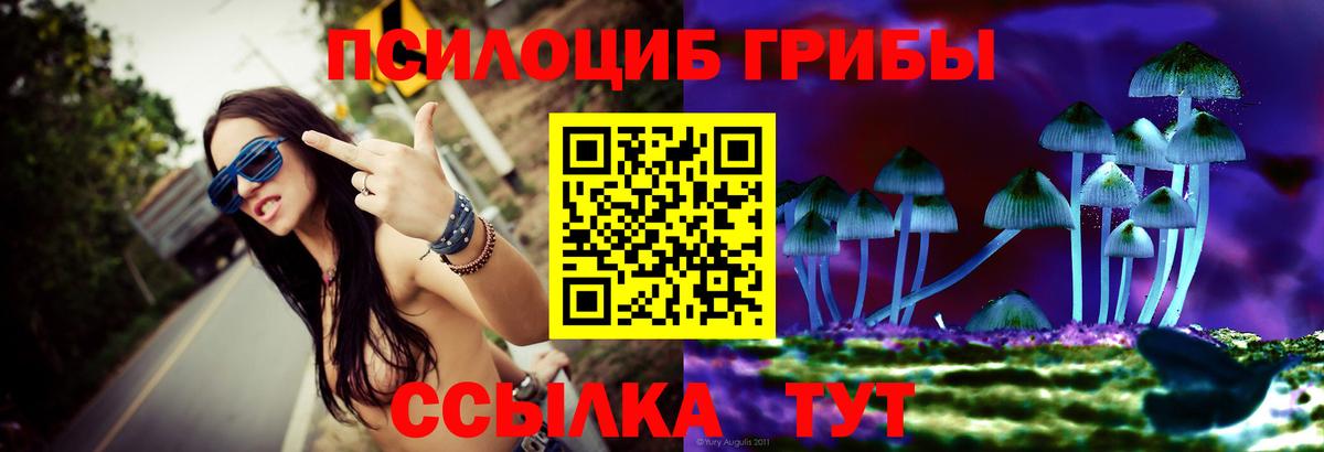 Псилоцибиновые грибы MAGIC MUSHROOMS Гуково